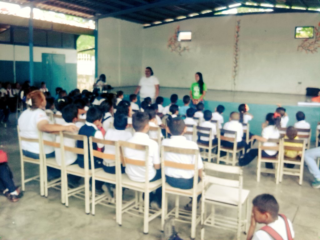 MisionArbolPortug tweet media