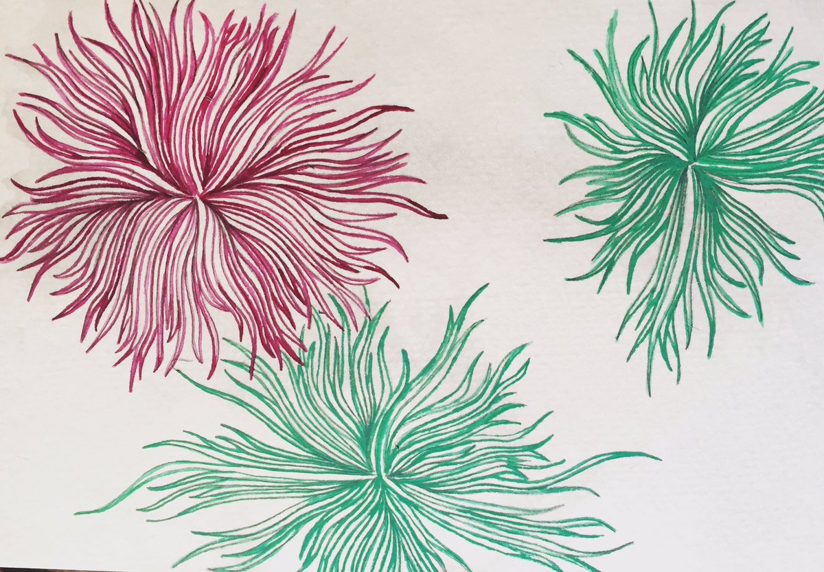 jenesyclaire's tweet image. Apple Cell #microscopeart #textiles #prettyscience #labgirl