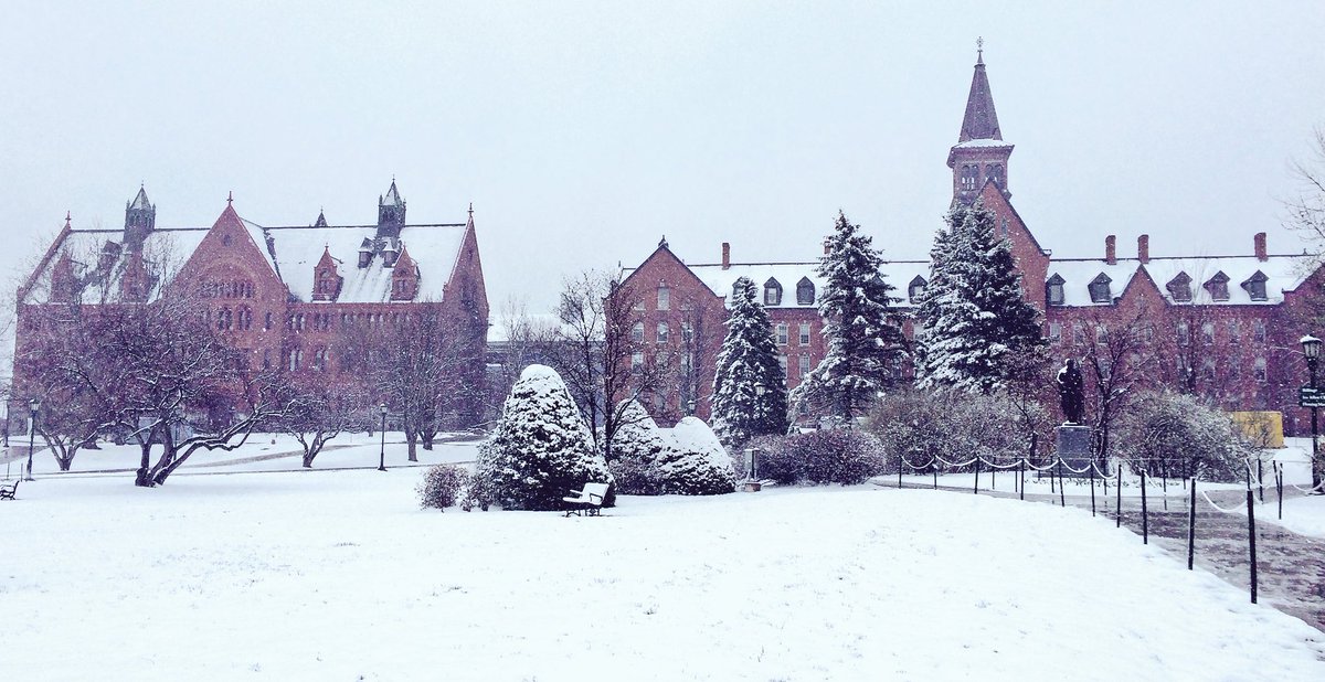 University Of Vermont Your Reaction In Emoji Go Springter