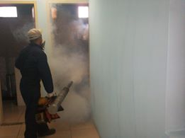sermainca2015's tweet image. Comenzaron las lluvias. Servicio de fumigación para zancudos y moscas.