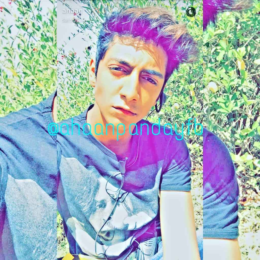 ahaan panday fanbase tweet media