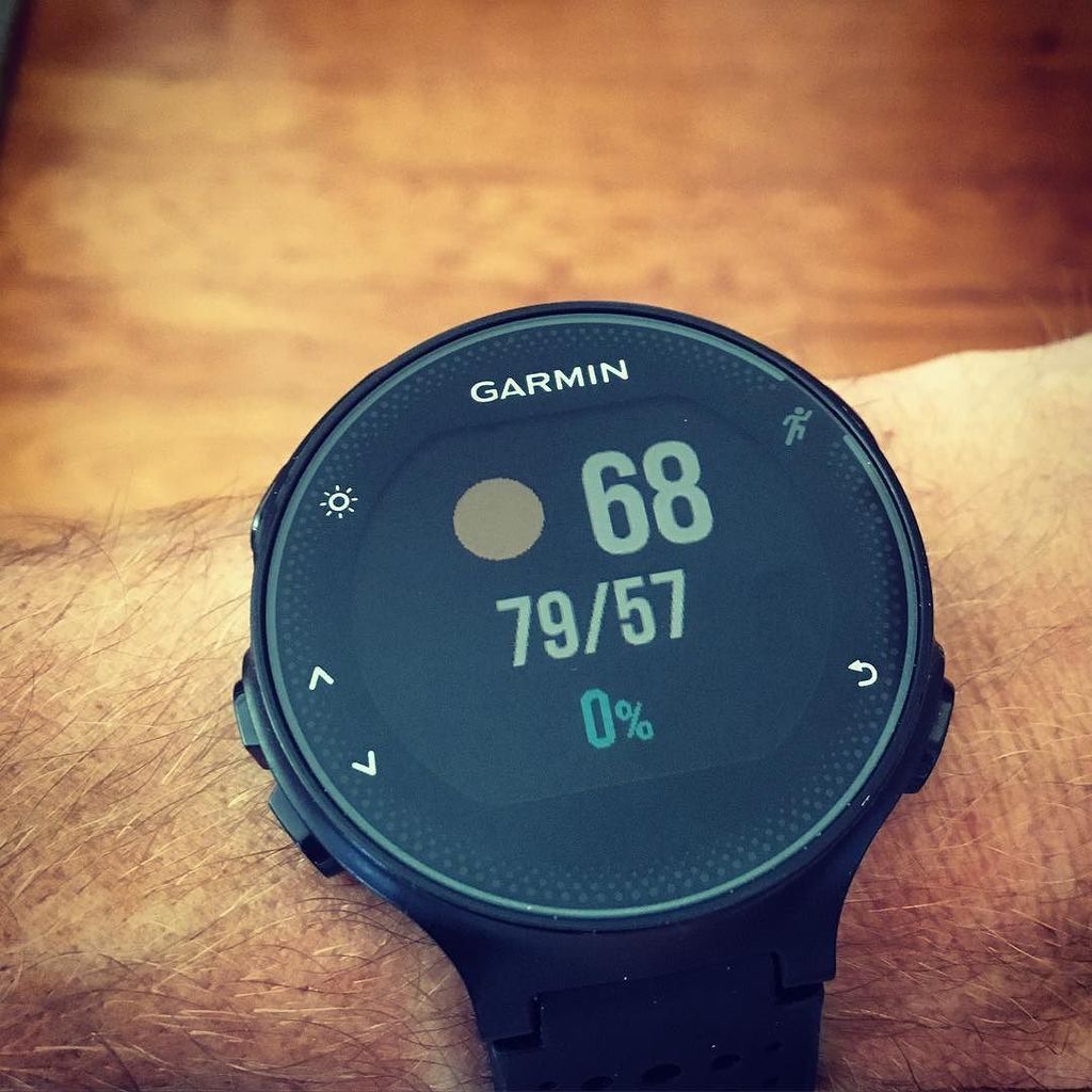 adamsruns's tweet photo. Perfect weather for a stay at @montagepalmettobluff @palmettobluff #pbhalf #garmin @pikaboomegs https://t.co/xv0Q4CRELx