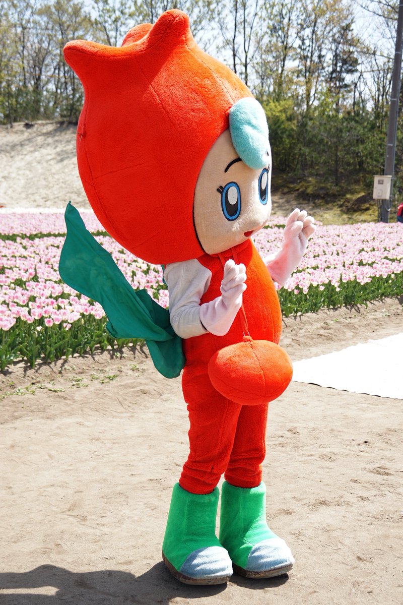 新潟県の胎内市チューリップフェスティバル行ったらキャラさんいた。 胎内市ご当地検定PRマスコット「やらにゃん」。 フェスティバル公式マスコット「リップル ちゃん」。