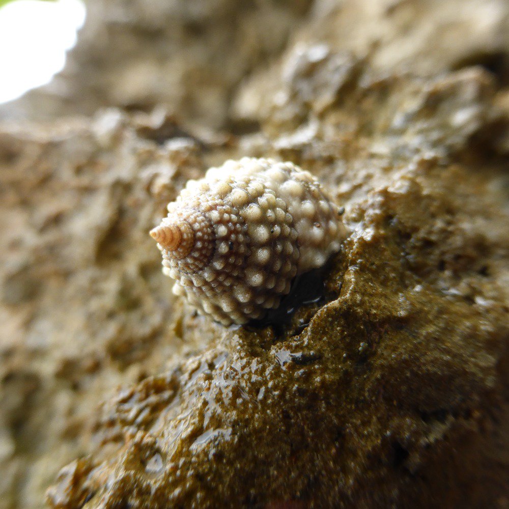 fionamack2's tweet photo. #snailspacesunday https://t.co/iEXWy1yWAJ