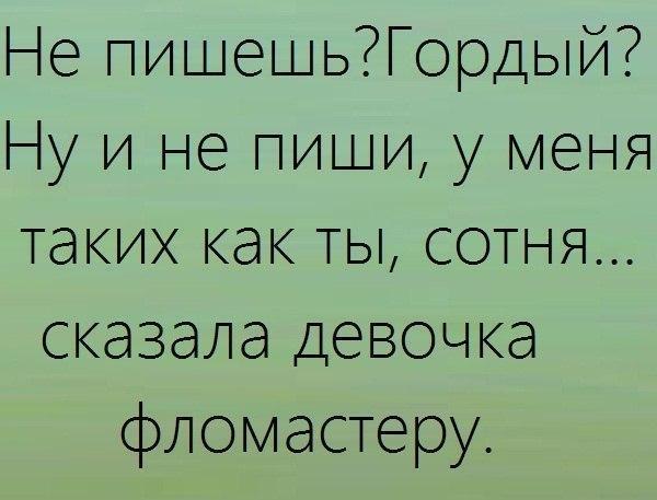 Смешные, картинка с надписью никто не пишет