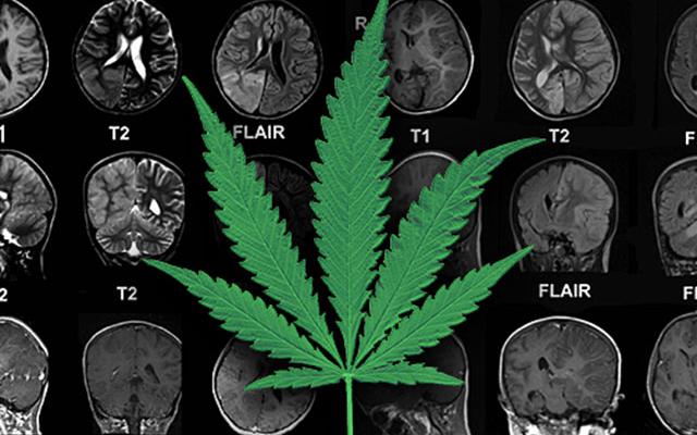 High Times tweet media