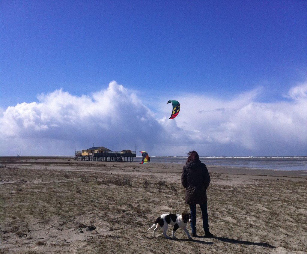 AlexKruizinga's tweet photo. Lekker uitwaaien op #Schier Harde wind, maar ook afwisseling van regen hagelbuien en zon https://t.co/JHNgeoEGjx