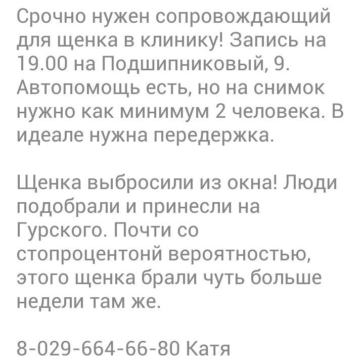 Ищем сопровождение🙏