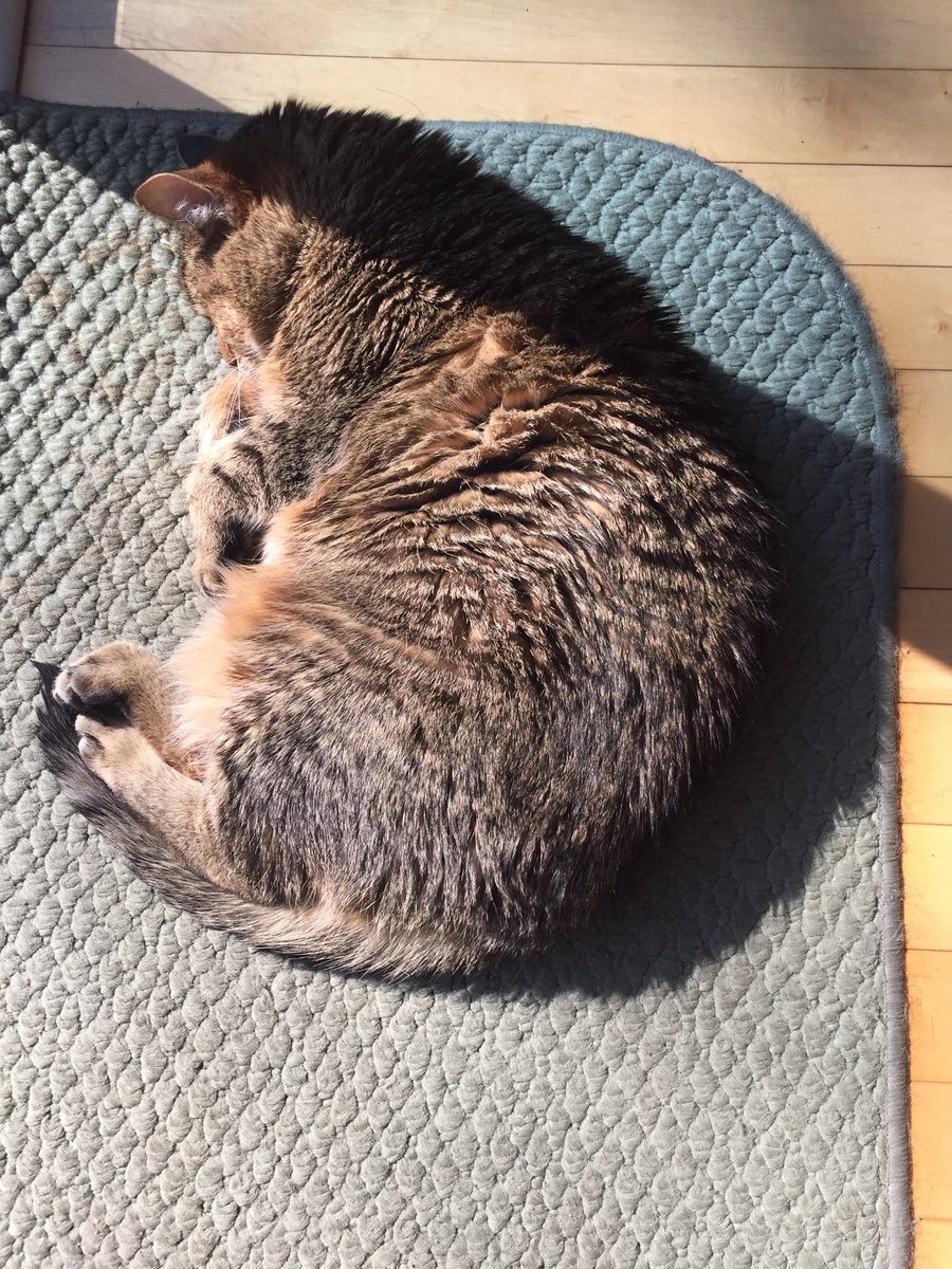 willhacker's tweet image. Warm as a loaf of fresh-baked bread. #spritemonkey