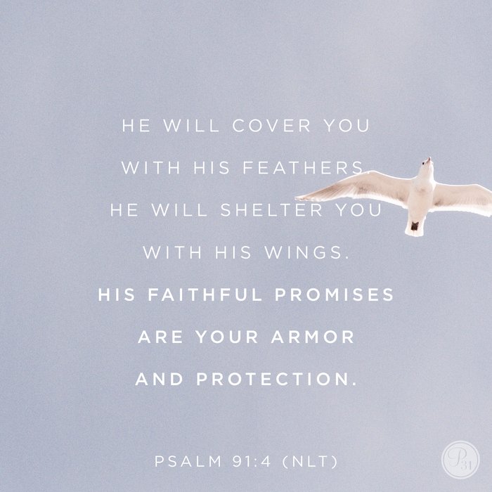 Proverbs31org's tweet photo. His faithful promises are your amor and protection. | Psalm 91:4b https://t.co/Y1QWks7psg