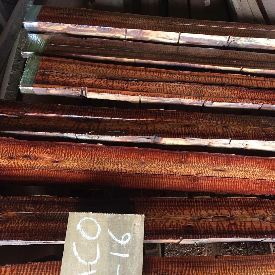 SourceSnakewood's tweet photo. @PeterHallandSon Hello we are Snakewoodsource and we are offering highly figured Snakewood https://t.co/nivlpOWRxh