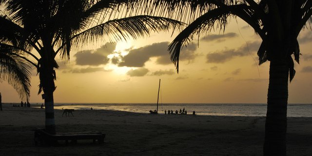 Geniet 9 dagen in Gambia in hotel Lemon Creek, gelegen aan het strand. Inclusief ... - cheapydeals.nl/gambia/