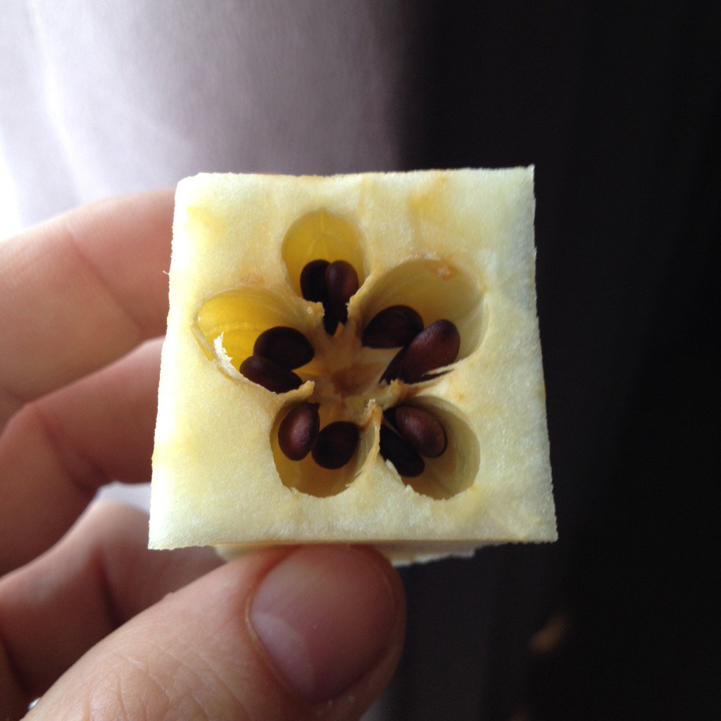 @PajorART <a href="/boris3324/">The Monster</a>