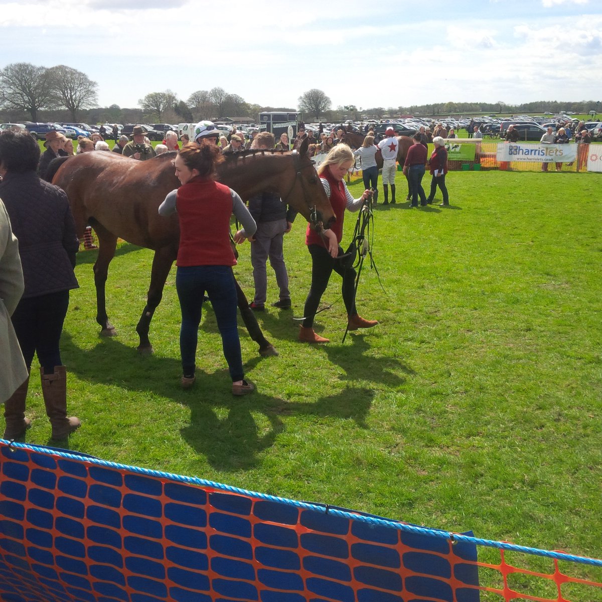 Overafrica won the opening race on the card, the Hunt Members, for <a href="/lozzareedy/">Lauren Reed</a>
