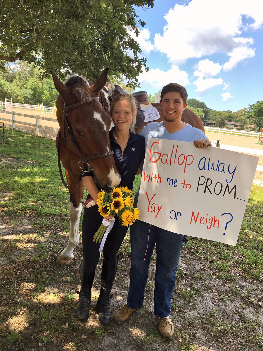 maddie_ilcken's tweet photo. Yayyyy 😍💕🐴 https://t.co/ZoRkd8GvWn