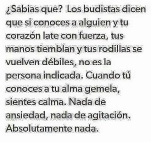 SandySammyG's tweet photo. Alma gemela!! #TeamNocturnitz https://t.co/aO2fg8n7z6