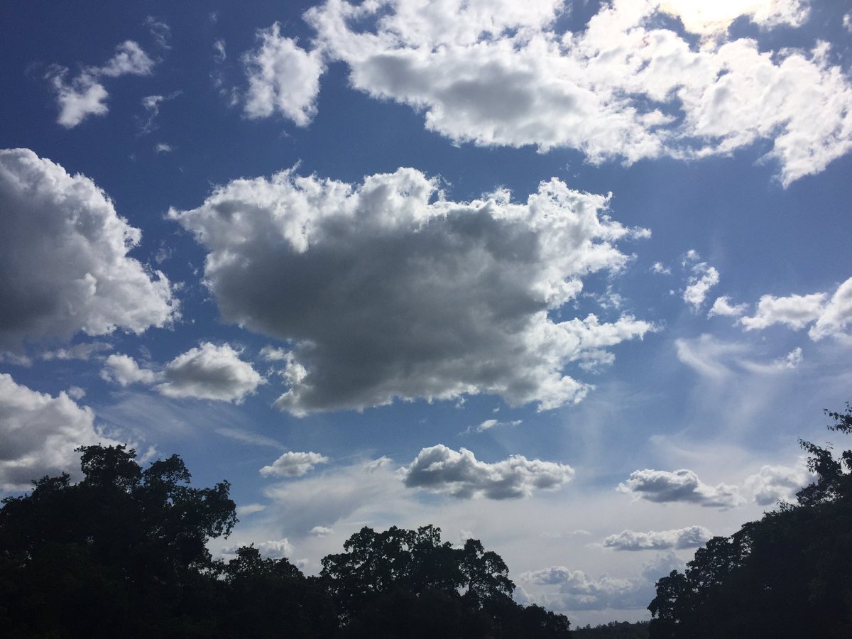 _caveman_x's tweet photo. The clouds are cool today https://t.co/05zbFUb8YF