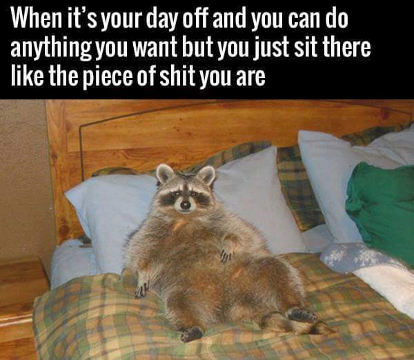 My life https://t.co/gPWIyeexee<a href="/tag/mood"class="tags"><span>#mood</span></a>