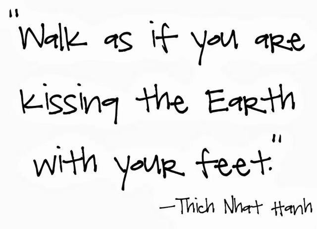 insight_mrivera's tweet photo. “There are a thousand ways to kneel and kiss the ground; there are a thousand ways to go home again.” – Rumi https://t.co/CKDngQkS7t
