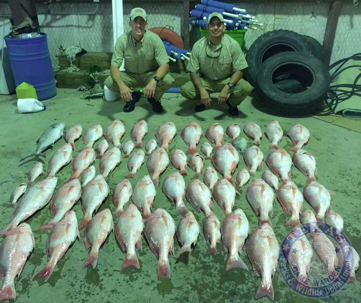 TexasGameWarden's tweet photo. Two of the #TxCadet assisted in a case w 57 red snapper &amp; other fish; dozens of them in a hidden compartment https://t.co/LJnBHCCurY