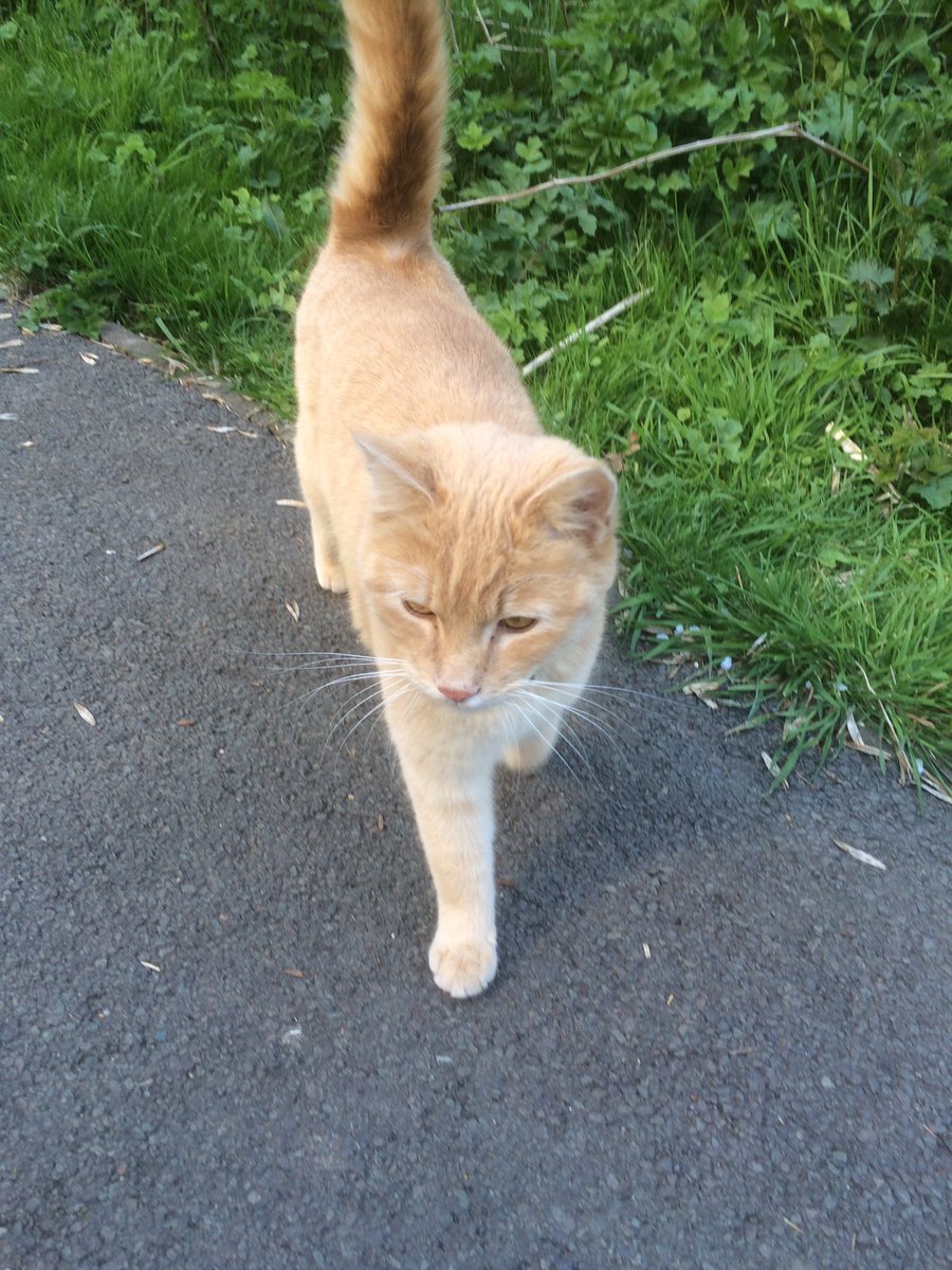 reverse_ted's tweet image. Sunny stroll ☀️👍🏻