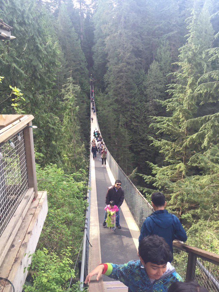 ChefSiddharthas's tweet photo. @ExploreBC #capbridge, #vancity https://t.co/mGtznuIef1