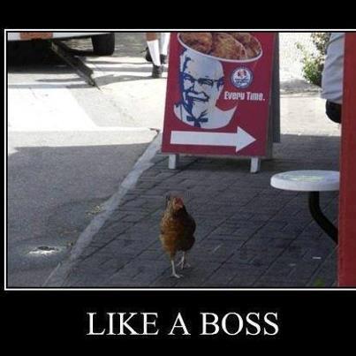 Eva (@evatina_) on Twitter photo 