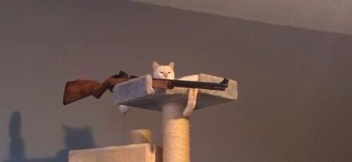 lex ☁️ tweet media