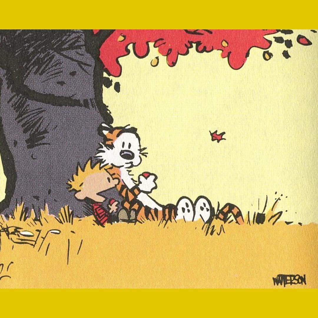 Calvinn_Hobbes's tweet photo. Everyone enjoy your Sunday! https://t.co/XaGGto5OBL