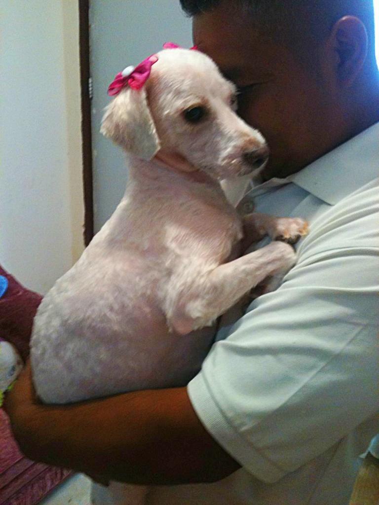 Porque no darles una vida digna, con tanto amor que nos dan y tanta felicidad. Mi niña llegando de la stetica