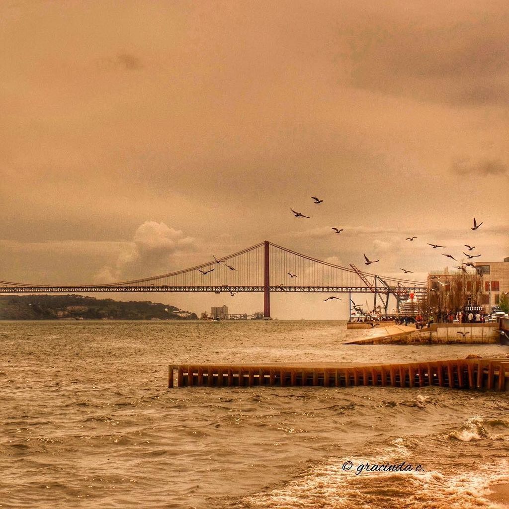 davidjcc_Zgz's tweet image. Me gusta! by gracindacourela - Rio Tejo
#wms_hdr #wu_portugal #waycoolshots #estaes_portug… ift.tt/1T7BUf5