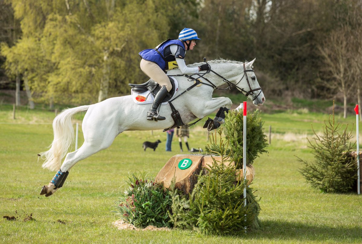 Superstar Zeb winning <a href="/C_S_H_T/">Central Scotland HT</a> with 20 dressage 🌟 #FedonTopSpec 
He helped me out -Im full of the cold! #specialboy