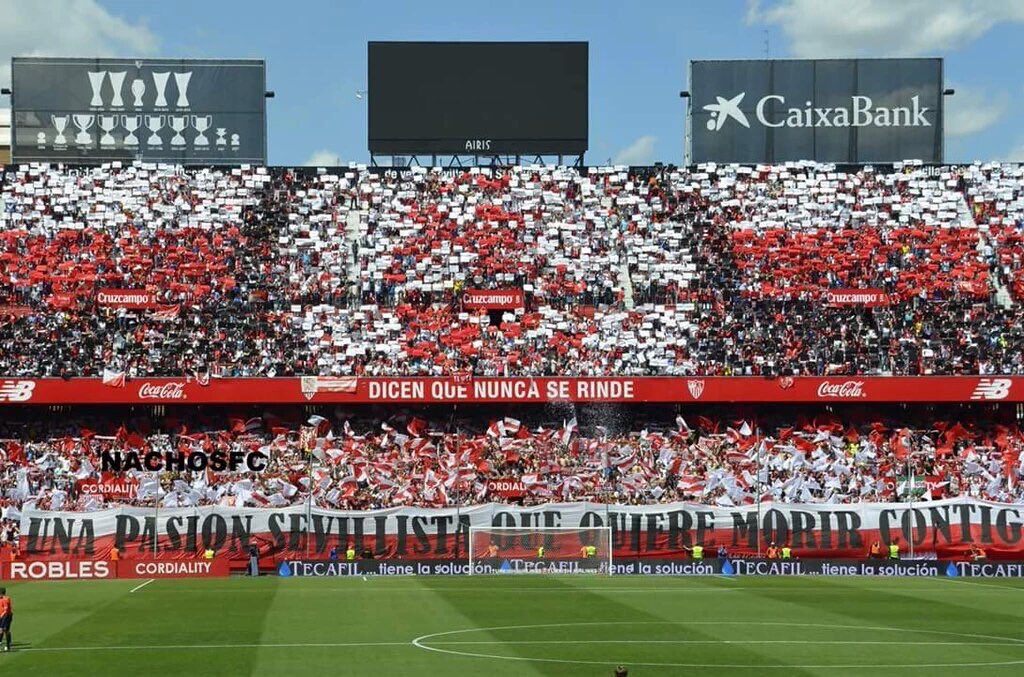 nicopareja21's tweet photo. Felicidades a todo el sevillismo por otro día mágico en el RSP !!! https://t.co/1twdG8n7VI