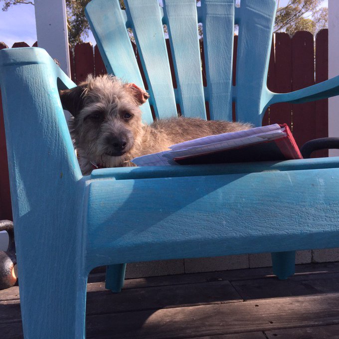 So mature https://t.co/2V8CSq9fQ3<a href="/tag/mvsales"class="tags"><span>#mvsales</span></a>