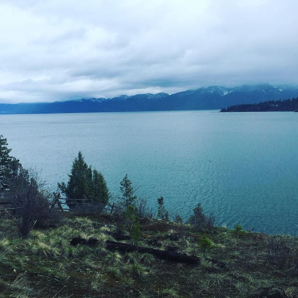 c21smithteam's tweet photo. Even on a cool rain soaked day had a blast showing some cool lake spots. #finleypoint #fl… https://t.co/UJySd8k2FB https://t.co/RgtV8Dzvsa