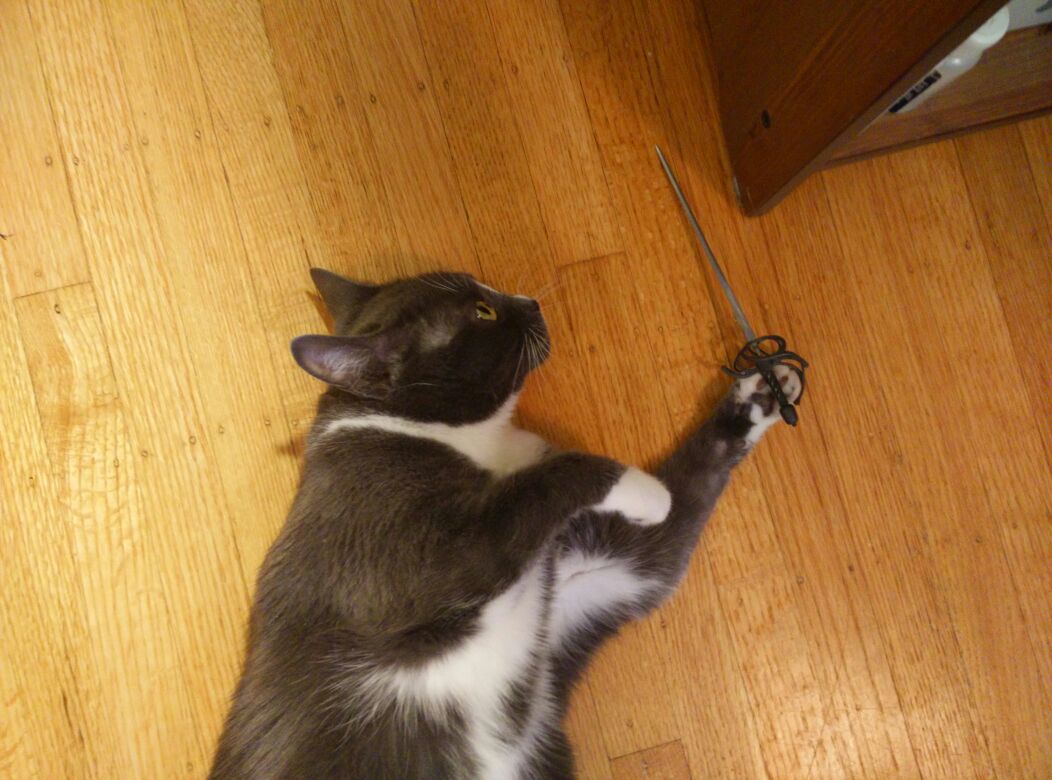 GoonsTheMovie's tweet image. #goonkitty is back and pumped for #GameofThrones Vote for the Goons bit.ly/1RbzPSn