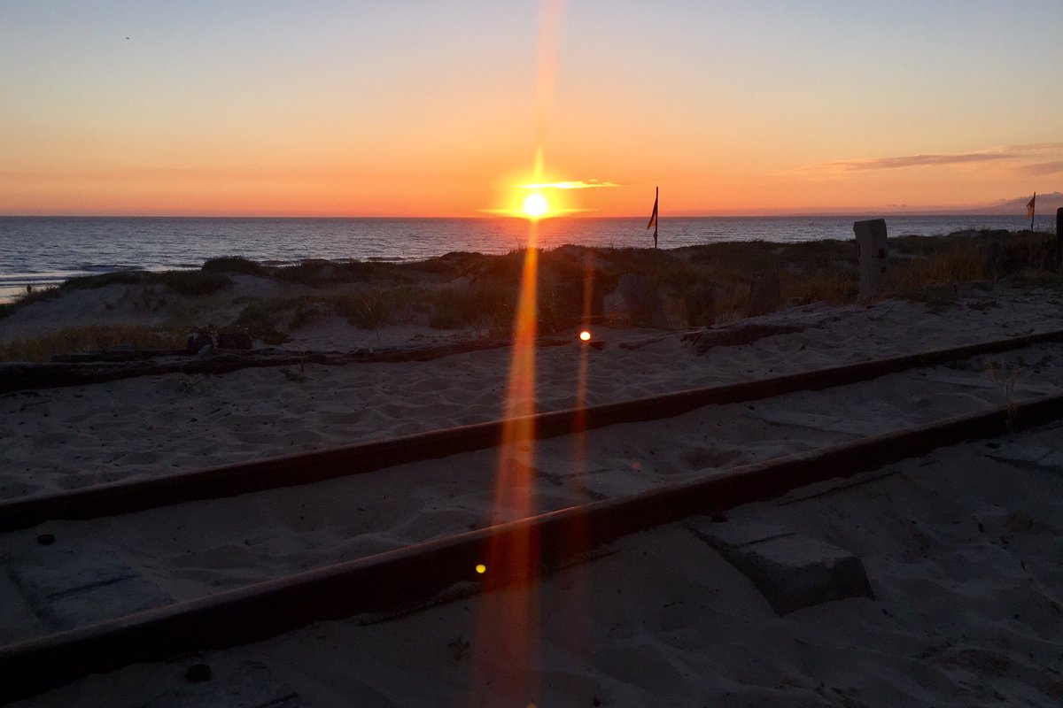 Ricardo Pinto tweet media