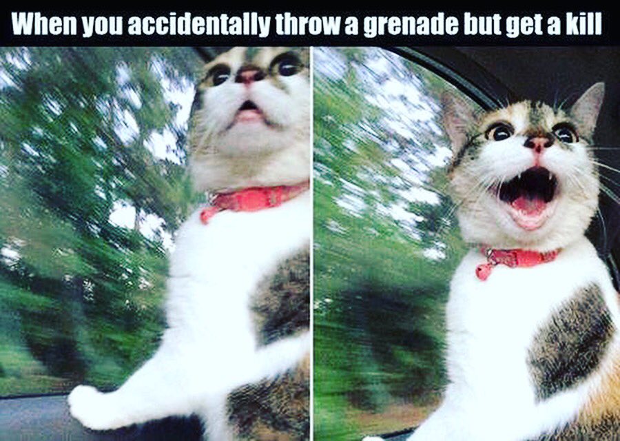 GamingDailyPGD's tweet photo. The best feeling ever! https://t.co/jmYOK5zitf