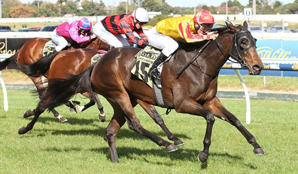 Racing's tweet photo. #3TW: It's been 53 weeks since we've seen impressive debut winner Fleur Fatale at the track. https://t.co/ouXOX6EedU https://t.co/w7j00r8k9I