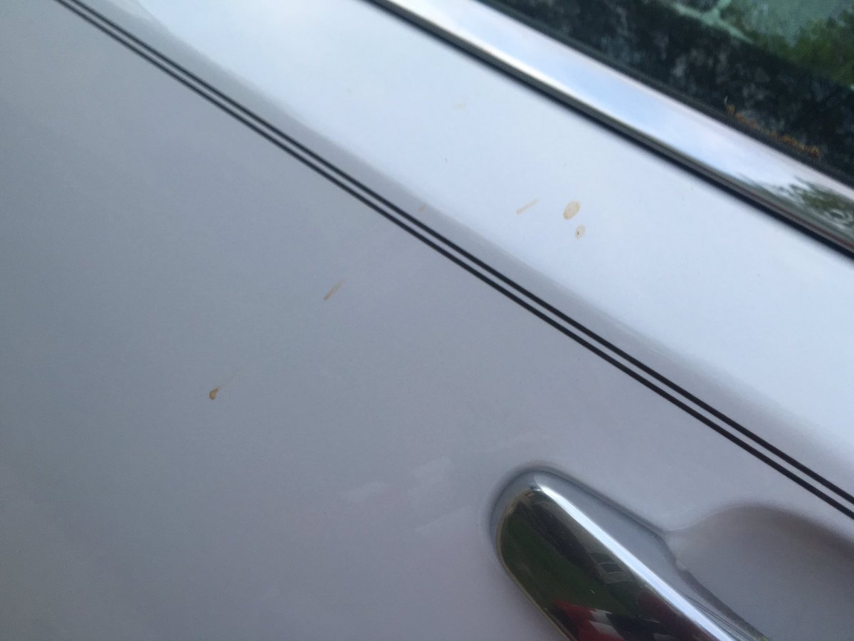 coltsprncs's tweet image. @jwalsh0523 FYI.. If your son drives your car .. Freshly washed ..have a spitter ready for him .. #chewproblems