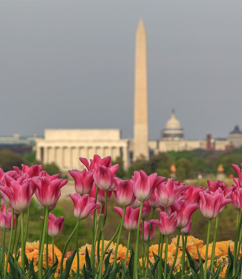 RT @SteveRudinABC7: Another beauty taken by <a href="/ABC7News/">ABC7 News</a> photojournalist @Steiger31. #DMV #photography