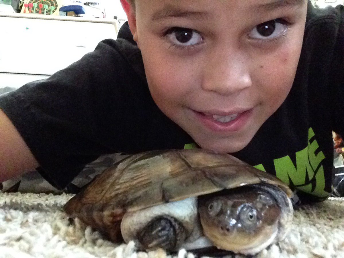 I miss this turtle his name is Oscar he has passed away but not fully.this turtle will never leave my heart