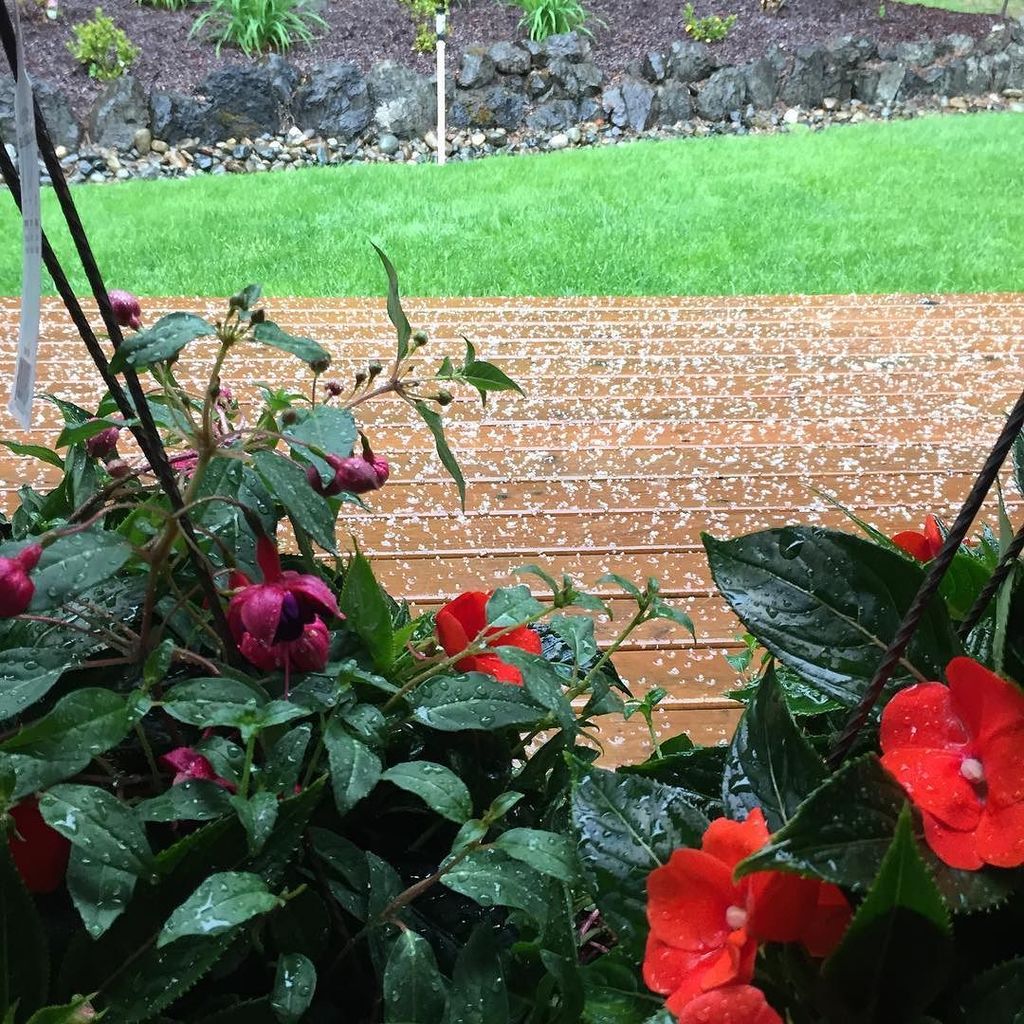 WindermereCarl's tweet photo. And now it is #hailing #spring #gigharbor @randi.gigharbor #sunsoon #washington https://t.co/UpDdqr7VyK