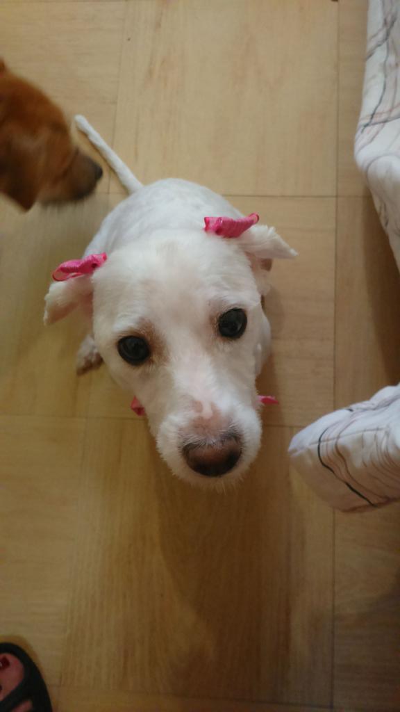 Mi niña tan coqueta!!