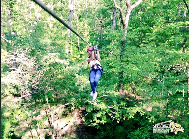 _sarahen's tweet photo. Spent my day in the trees, left my head in the clouds #zipquest https://t.co/nD24bsylXT