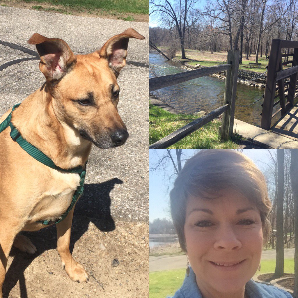 jtcreative's tweet photo. Me and my new running buddy! https://t.co/c4ZVmPajYQ