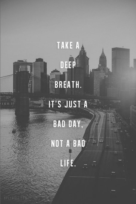 Deep breath in.... https://t.co/chECUrItbE<a href="/tag/cleo"class="tags"><span>#cleo</span></a>