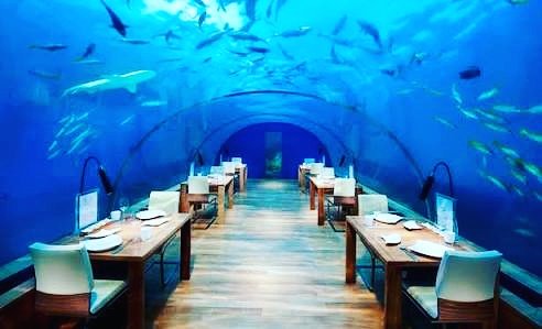 #Feel_Adventure_in_food 
#cloudwave
#food #foodie #FoodTank #sea#Fishes #viewpoint #VIEWS #bluemarble #Blues #Blue