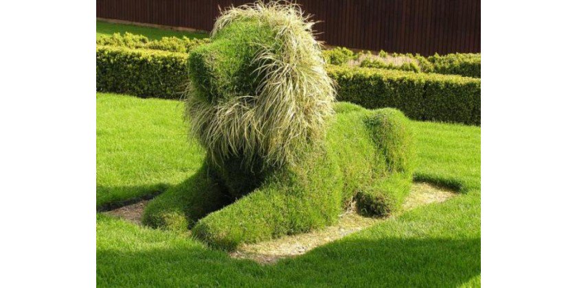 gesaci's tweet photo. Buenos días, compartimos algunos consejos de como #decorar #jardines o #terrazas con #poda  https://t.co/1DvBKvvrdu https://t.co/Ydr1AgebOk