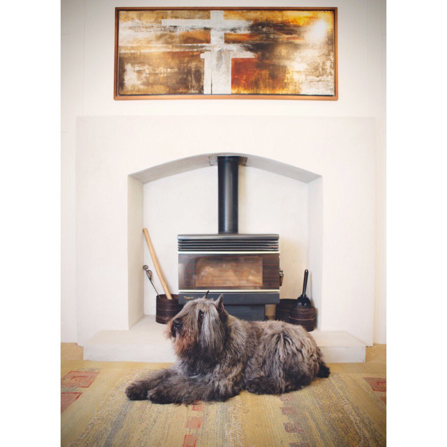pet_pride's tweet photo. Raleigh at home.
#bouvier #homeshoot #dog #dogslife #dogshoot #fe29 #gallery #home #art https://t.co/0Kkt7PjyRc